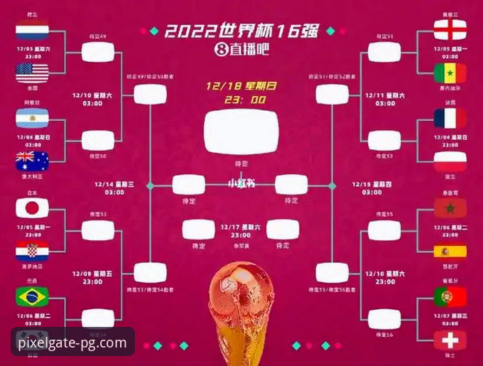 PG平台真实乐趣使用技巧 PG平台尤伯杯半决赛观赛体验评测:中国队3-0完胜日本队晋级决赛操作教程